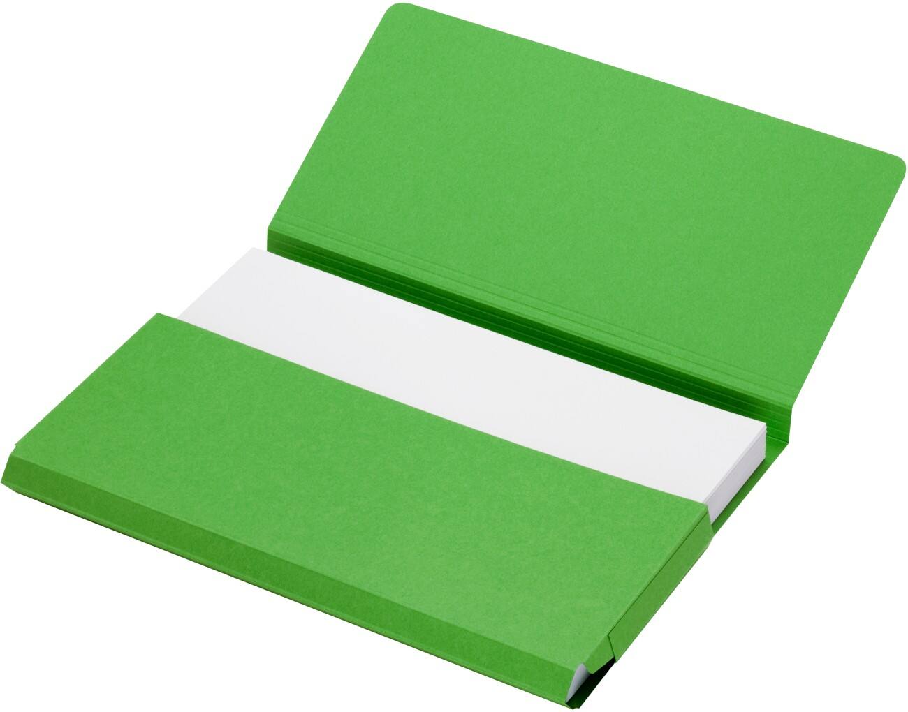 Farde à rabats Jalema Folio Vert 270 g/m² Carton