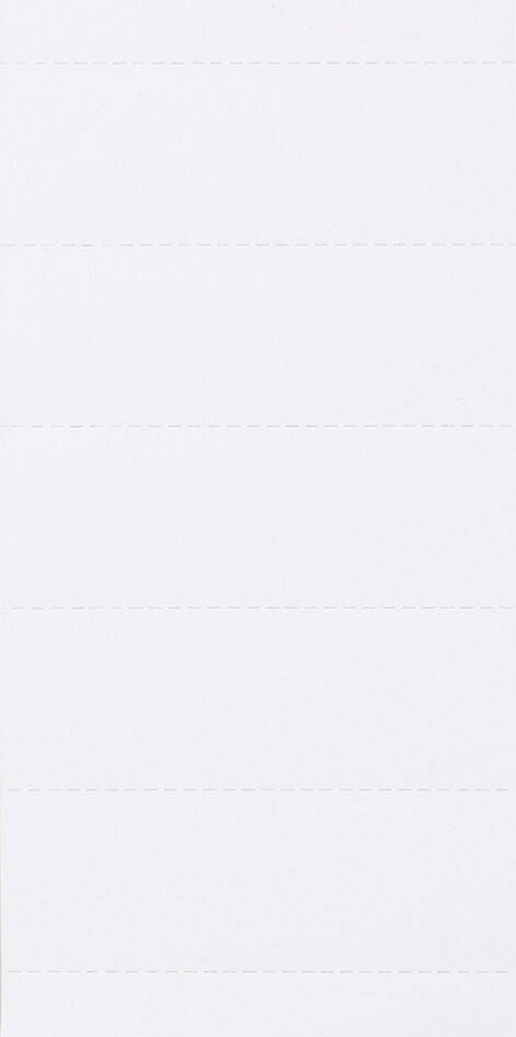 Intercalaire Blanc Carton 2,1 x 6 cm 100 Unités