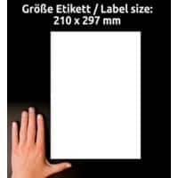 Étiquettes universelles AVERY Zweckform L7567-25 QuickPEEL Transparent A4 210 x 297 mm 25 Feuilles de 1 Étiquettes