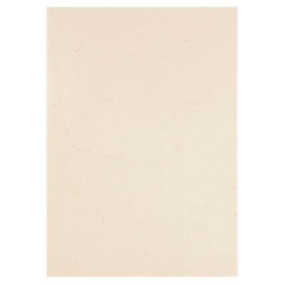 Papier Papyrus Éléphant Masquer 110 g/m² 21 x 29,7 cm A4 Blanc Marbré 100 Feuilles