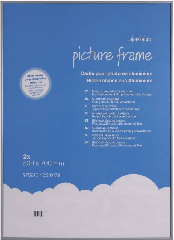 Cadre photo Viking Spécial Gris Aluminium 3610179 70 (L) x 50 (H) cm 978910 PK2 2 Unités