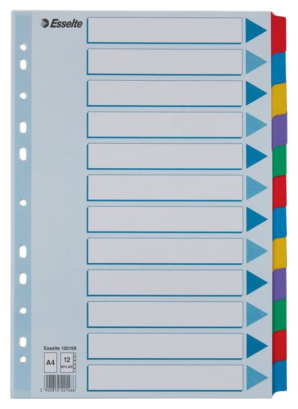 Intercalaires Esselte Vierge A4 Assortiment 12 intercalaires Carton 11 Perforations 100169