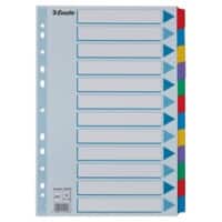 Intercalaires Esselte Vierge A4 Assortiment 12 intercalaires Carton 11 Perforations 100169