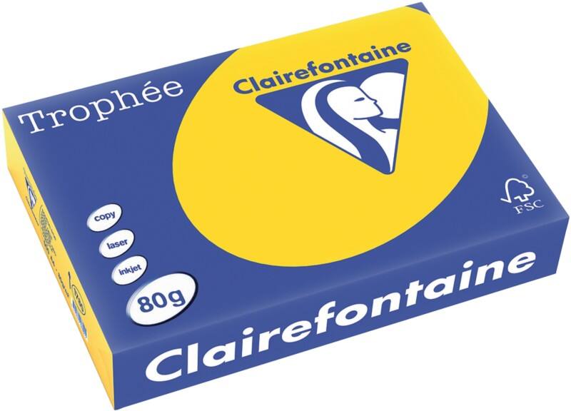 Papier couleur A4 Clairefontaine Doré, jaune 80 g/m² Mat 500 Feuilles