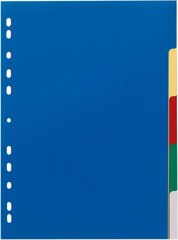Intercalaires vierges DURABLE A4 Assortiment 5 intercalaires PP (Polypropylène) 11 Perforations 6730