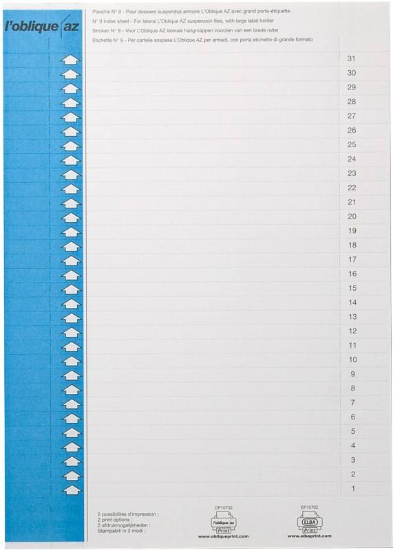 Étiquettes pour dossiers suspendus ELBA N°9 Bleu Papier Pour armoires, 158 mm 0,9 x 15,6 cm 300 Unités