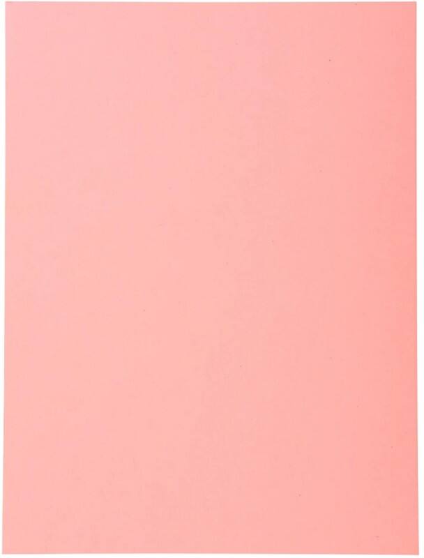 Exacompta Forever Dossier A4 Rose Manille Recyclé 100% 170 g/m² 100 Unités