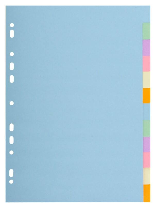 Intercalaires vierges Exacompta 100% Recyclé A4 Assortiment 12 intercalaires 170 g/m² Carton 11 Perforations 1612E
