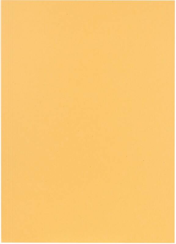 Falken Farde à lamelle A4 Chamois Manille 250 g/m²250 g/m²