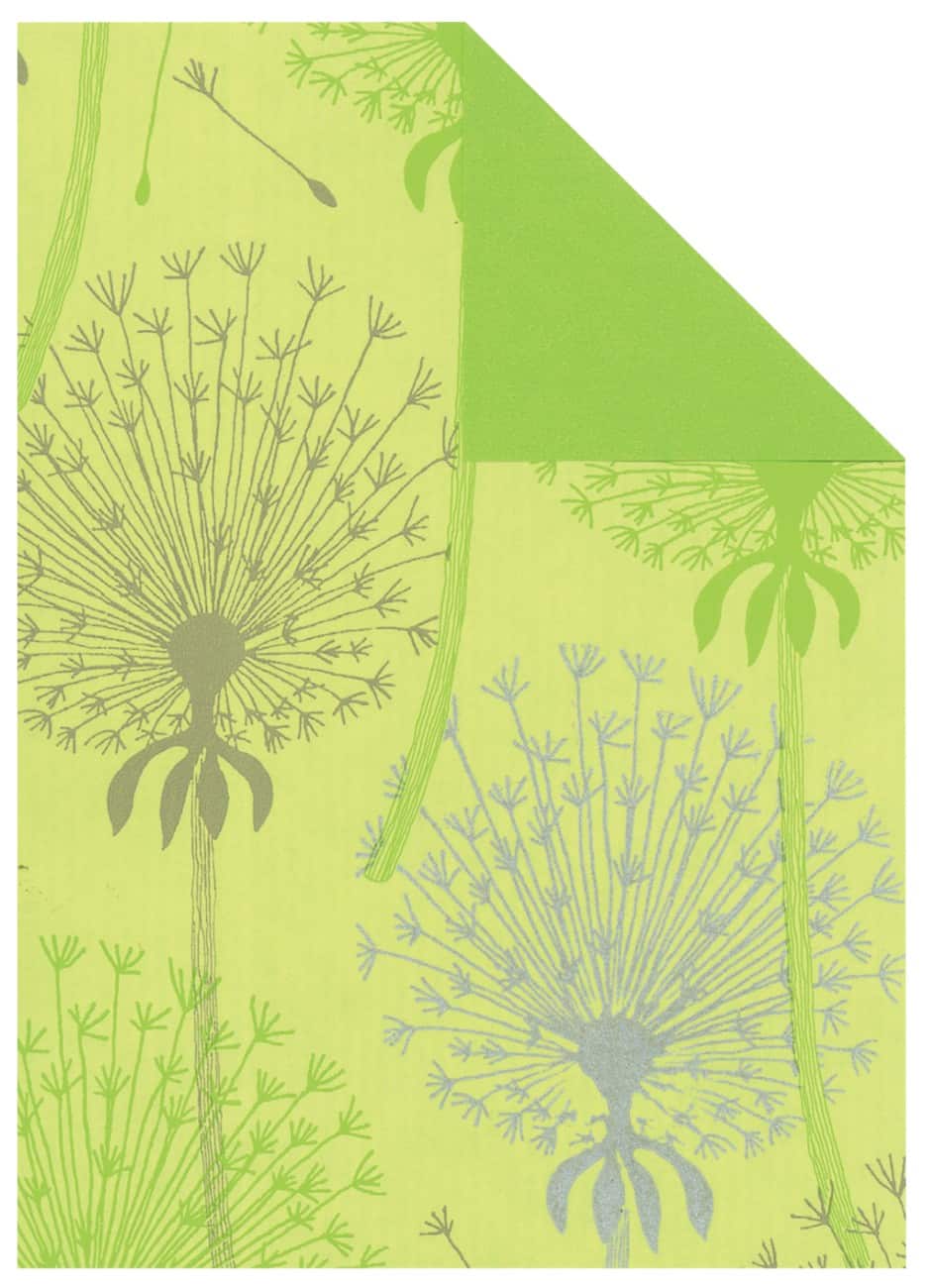 Papier D'Emballage Vert 60 g/m² 500 mm x 0,7 m 15 Unités