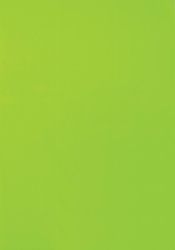 Étiquettes d'avertissement VIK-541-GN Vert Fluorescent 70 x 36 mm 24 Feuilles de 25 Étiquettes