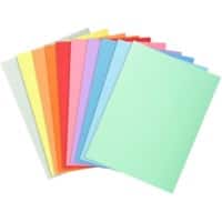 Farde Exacompta A4 Assortiment Carton 210 g/m² 100 unités