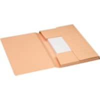 Fardes de circulation Djois Secolor Folio Beige 250 g/m² Carton