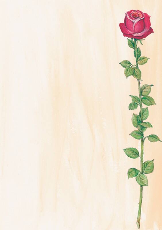 Sigel DP695 90 g/m² 21 x 29,7 cm A4 25 Feuilles