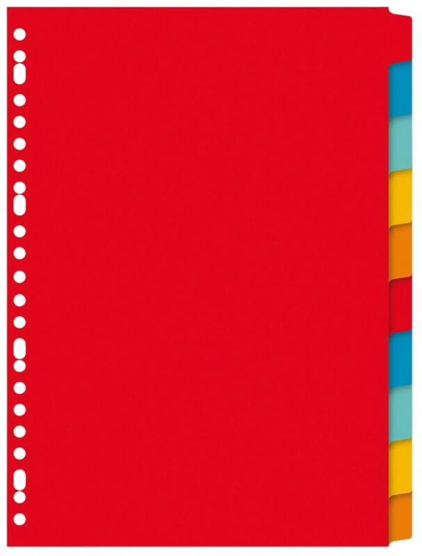 Intercalaires vierges Vierge KANGARO  A4 Assortiment 10 intercalaires Carton 23 Perforations PE410M