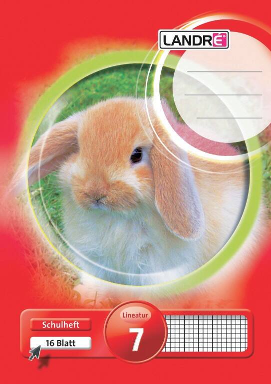 Cahier LANDRÉ Rouge Quadrillé 7.7 mm A5 14,8 x 21 cm 80 g/m² 16 Feuilles