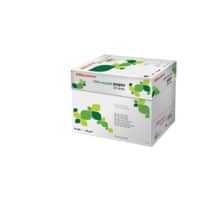 Papier imprimante Office Depot Everyday A4 Recyclé 80 g/m² Lisse Blanc 2 500 Feuilles