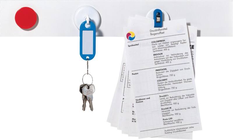 Bande métallique Franken ST1355 Blanc 100 x 5 cm 10 Unités